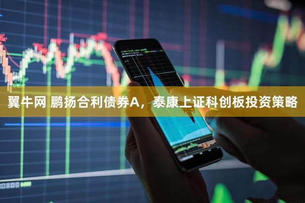 翼牛网 鹏扬合利债券A，泰康上证科创板投资策略
