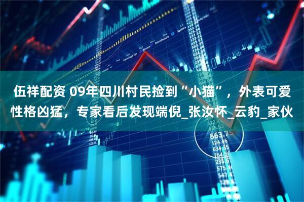 伍祥配资 09年四川村民捡到“小猫”，外表可爱性格凶猛，专家看后发现端倪_张汝怀_云豹_家伙