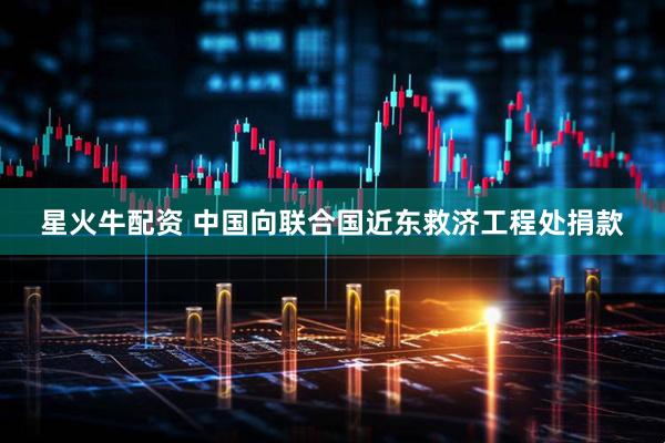 星火牛配资 中国向联合国近东救济工程处捐款