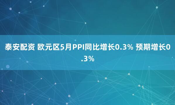 泰安配资 欧元区5月PPI同比增长0.3% 预期增长0.3%