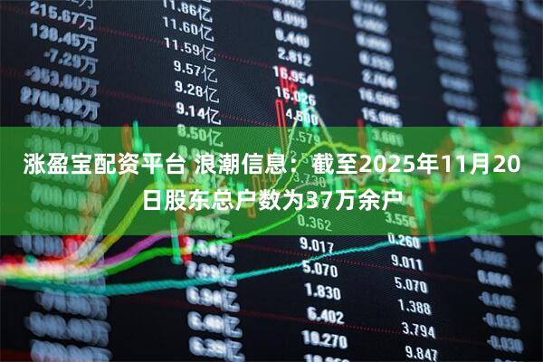 涨盈宝配资平台 浪潮信息：截至2025年11月20日股东总户数为37万余户